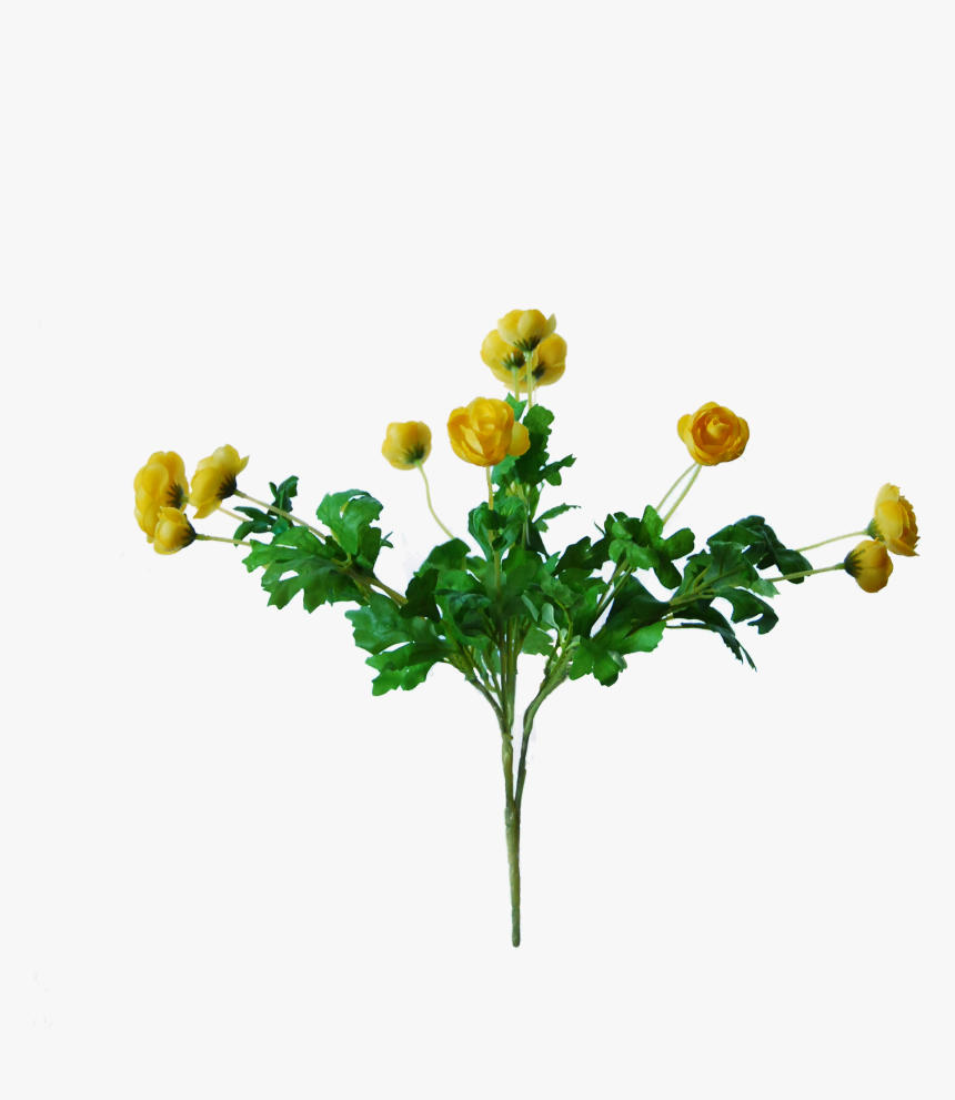 Bouquet, HD Png Download