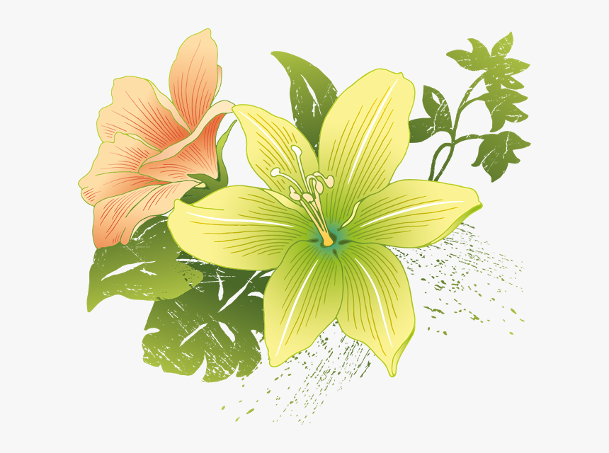 Flower Vector, HD Png Download