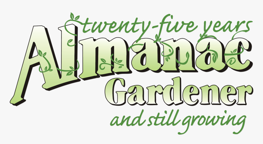 Saturdays At 12 Pm On Unc-tv - Calligraphy, HD Png Download