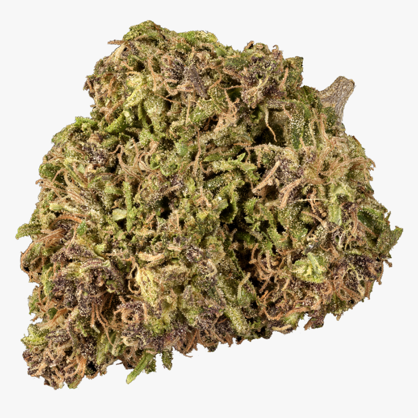 Mugwort Herb, HD Png Download