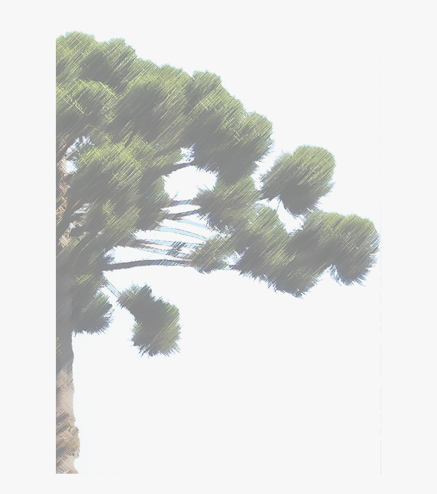 Winter Png Clipart, Transparent Png