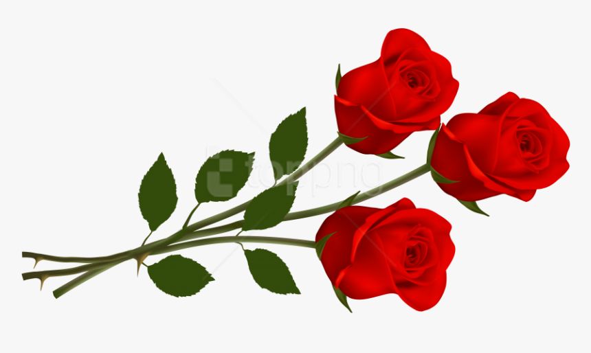 Free Png Rose Png Images Transparent - Roses Clipart, Png Download