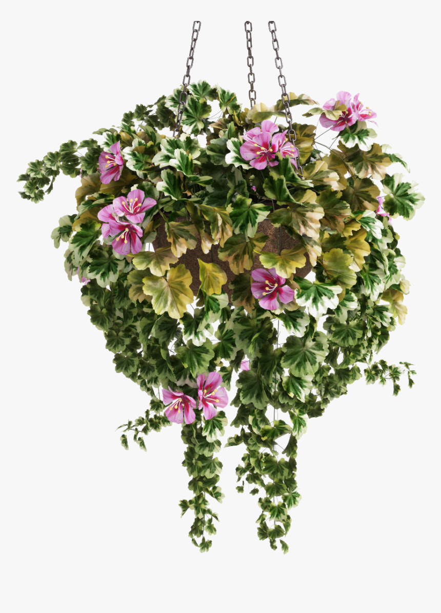 Bouquet, HD Png Download