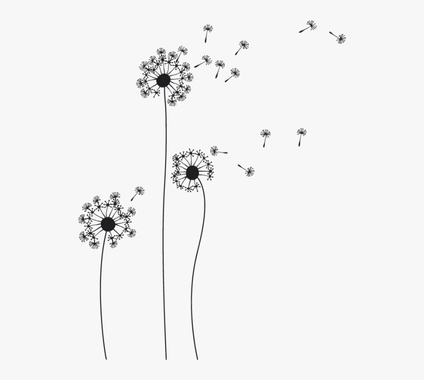 Dandelion Vinyl Sticker - Diente De Leon En Png, Transparent Png