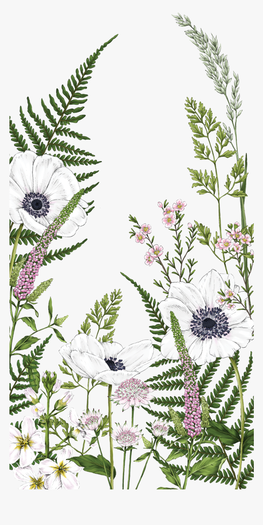 Transparent Kate Spade Flowers Clipart - Fern Flowers Watercolor, HD Png Download