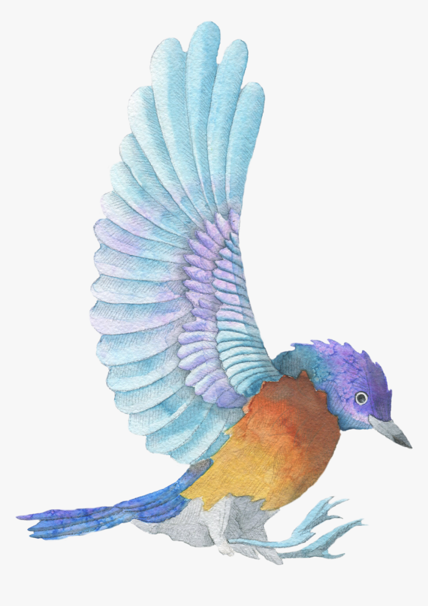 Fits, Starts, And General Life Chaos, HD Png Download