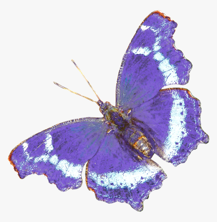 Symbols For Life After Death, HD Png Download