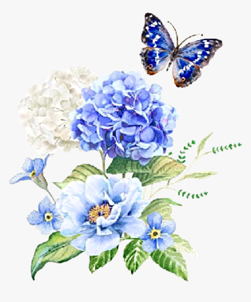 #watercolor #flowers #floral #bouquet #hydrangea #butterfly - Hydrangea, HD Png Download