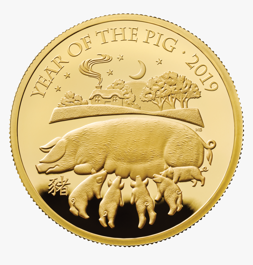 Commemorative Coins For 2019 Lunar Year Of The Pig - Year Of Pig Coin, HD Png Download