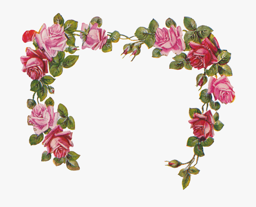 Transparent Background Free Rose Clipart, HD Png Download