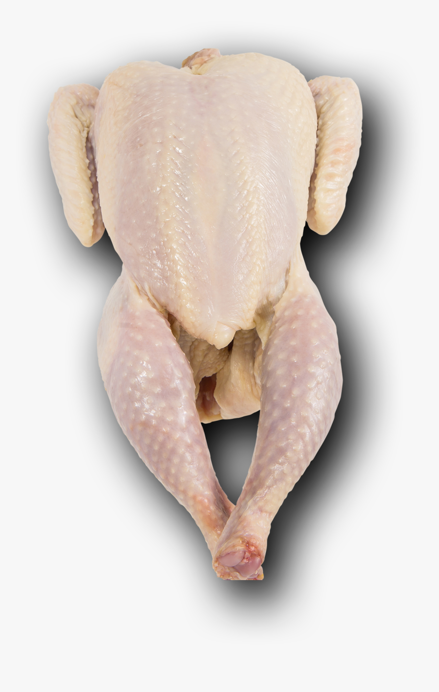Sonoma Red Organic Pasture Raised Whole Chicken With - True Frog, HD Png Download