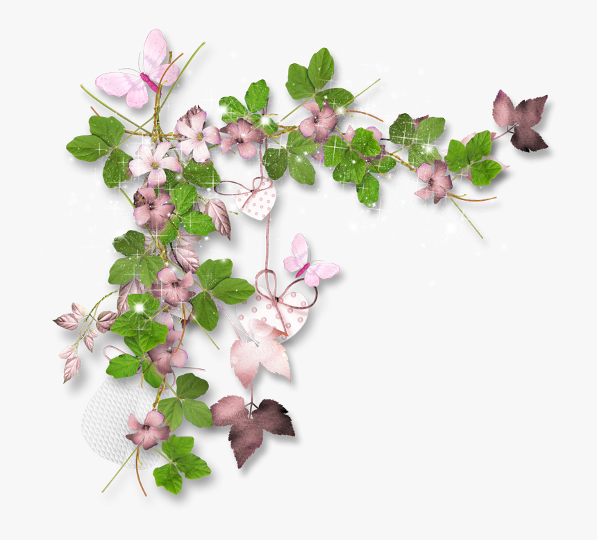Beautiful Flower Plant Png, Transparent Png