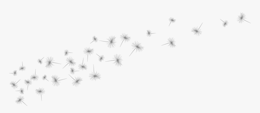 Dandelion, HD Png Download