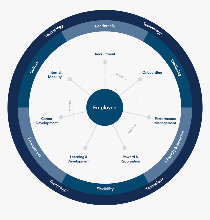 Talent Management Framework, HD Png Download