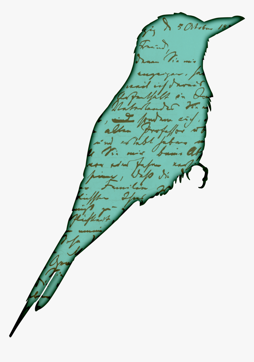 Free Stock Index Of Wp Content - Vintage Bird Clipart, HD Png Download