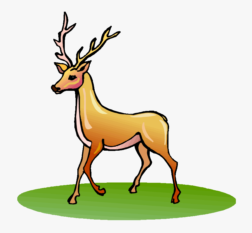Free Deer Clipart - Deer Clipart, HD Png Download