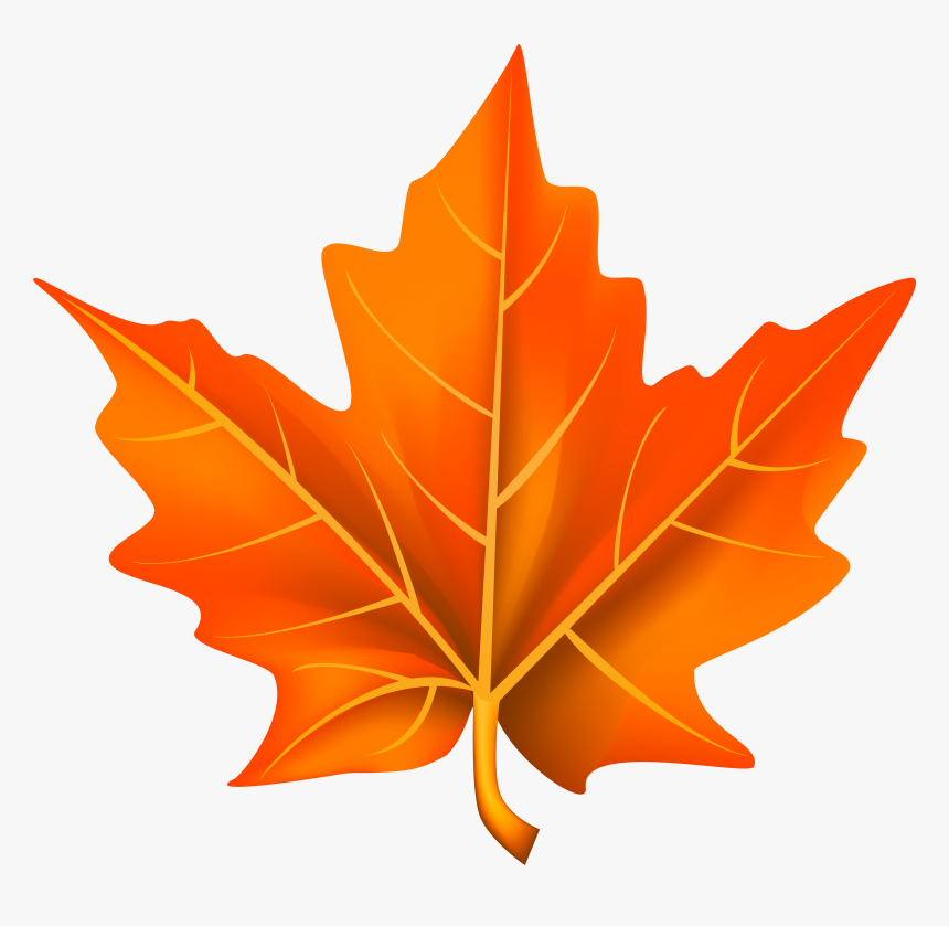 Orange Transparent Leaf Png, Png Download