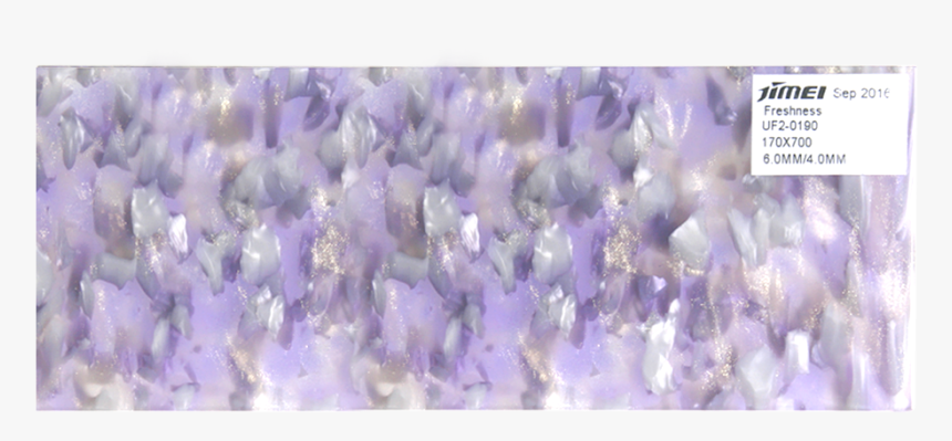 Snow Crocus, HD Png Download