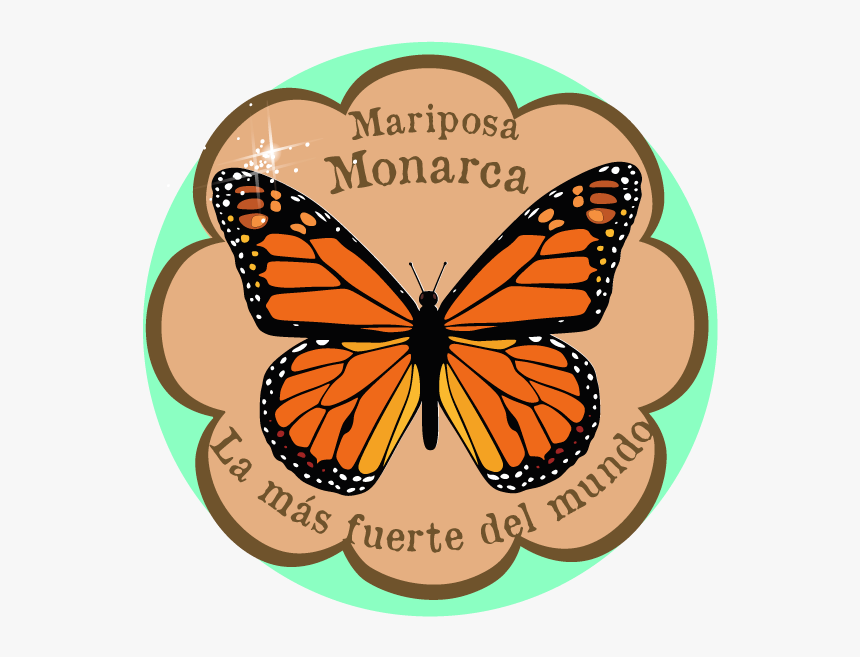 Monarch Butterfly, HD Png Download