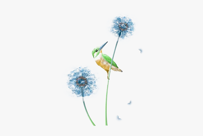 Graphic Stock Dandelions Drawing Bird - Lazuli Bunting, HD Png Download