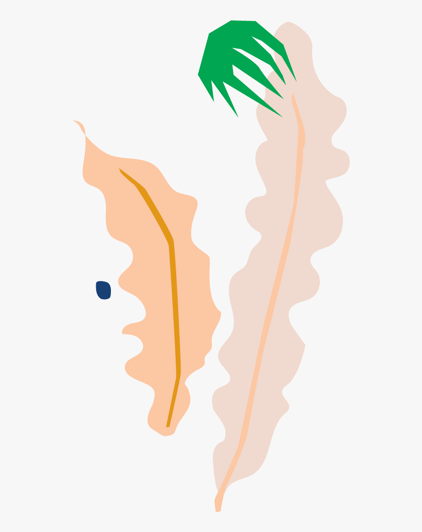 Illustration, HD Png Download