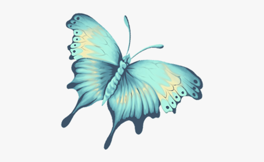 Butterfly, HD Png Download