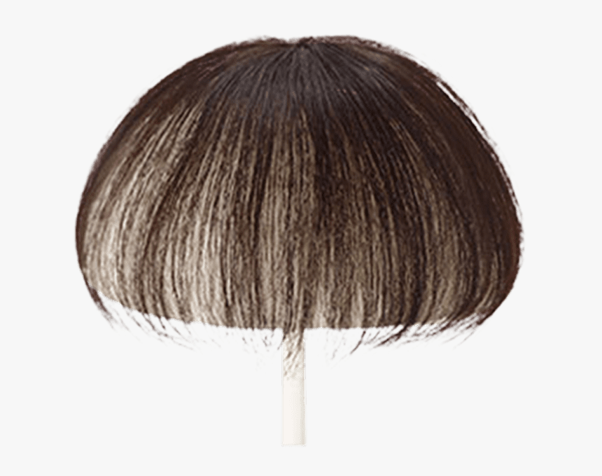 Lace Wig, HD Png Download