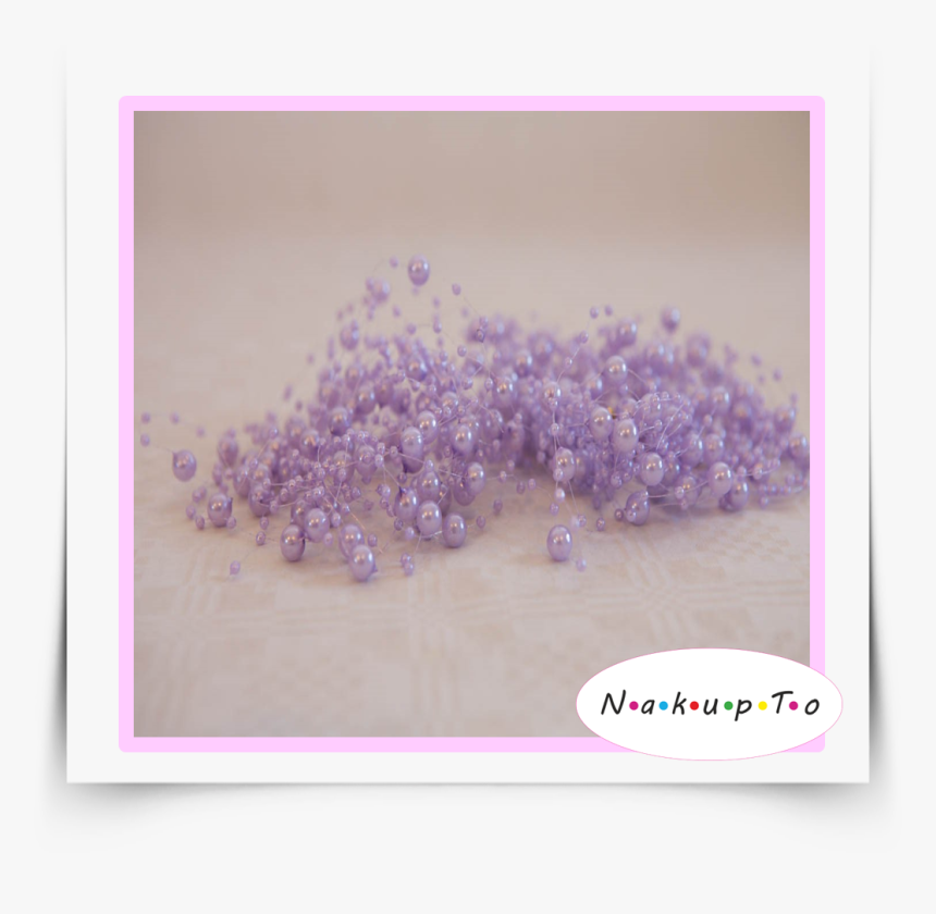 Wisteria, HD Png Download