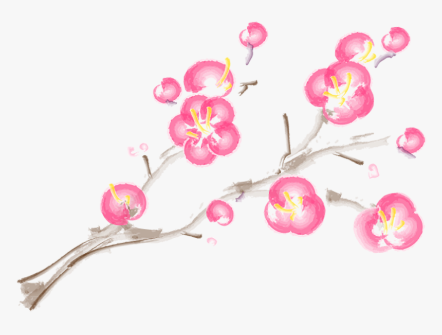 Moth Orchid, HD Png Download