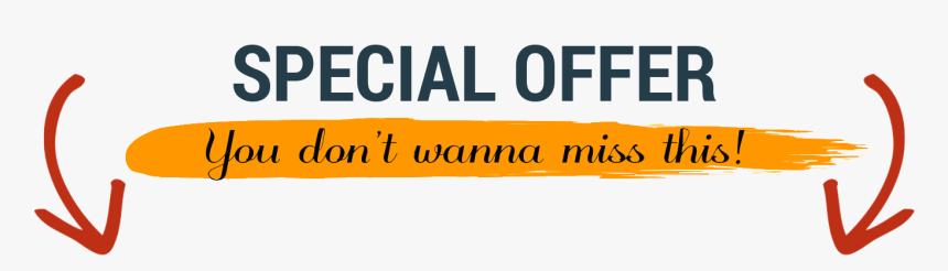 Special Offer - Festival Of Colours Tour, HD Png Download