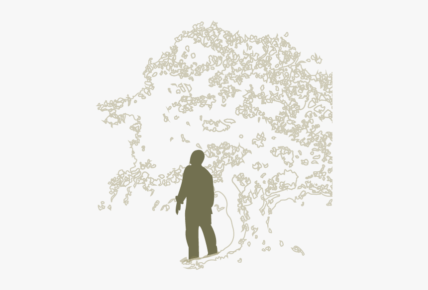 Snow, HD Png Download