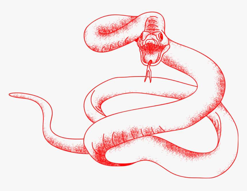Snake Png, Transparent Png