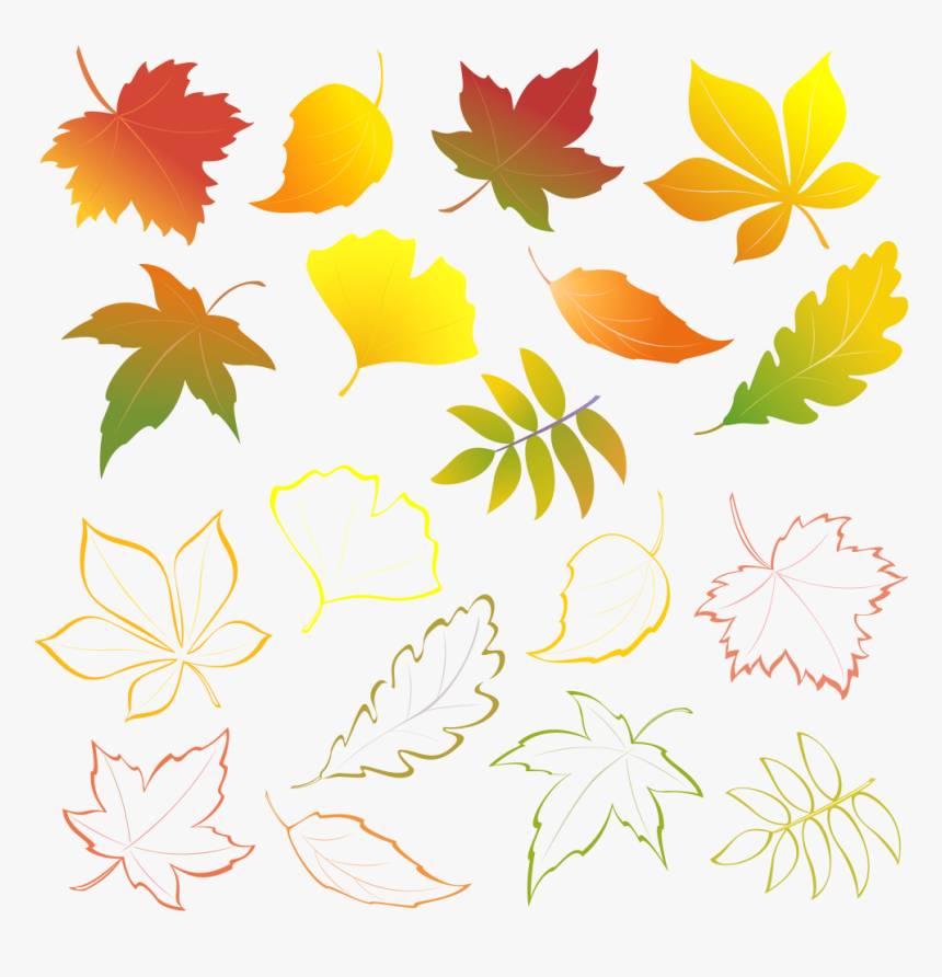 Transparent Fall Flower Clipart - Leaves, HD Png Download