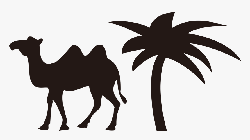 Bactrian Camel Cartoon Sticker Sidewalk Chalk - Camel, HD Png Download