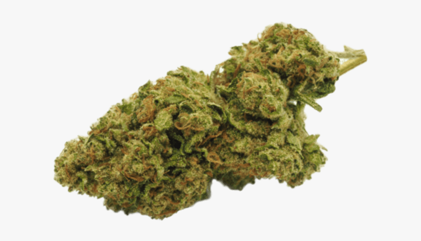 Moss, HD Png Download