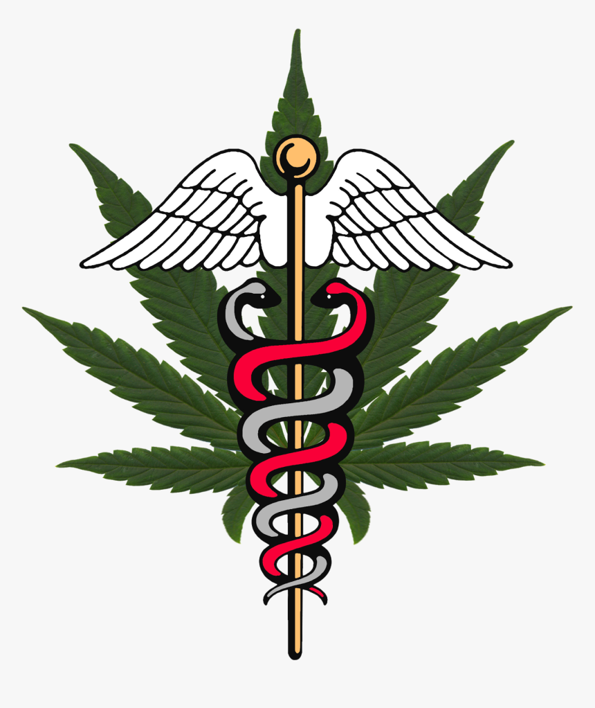 Michigan Medical Report World - Symbol Marijuana, HD Png Download