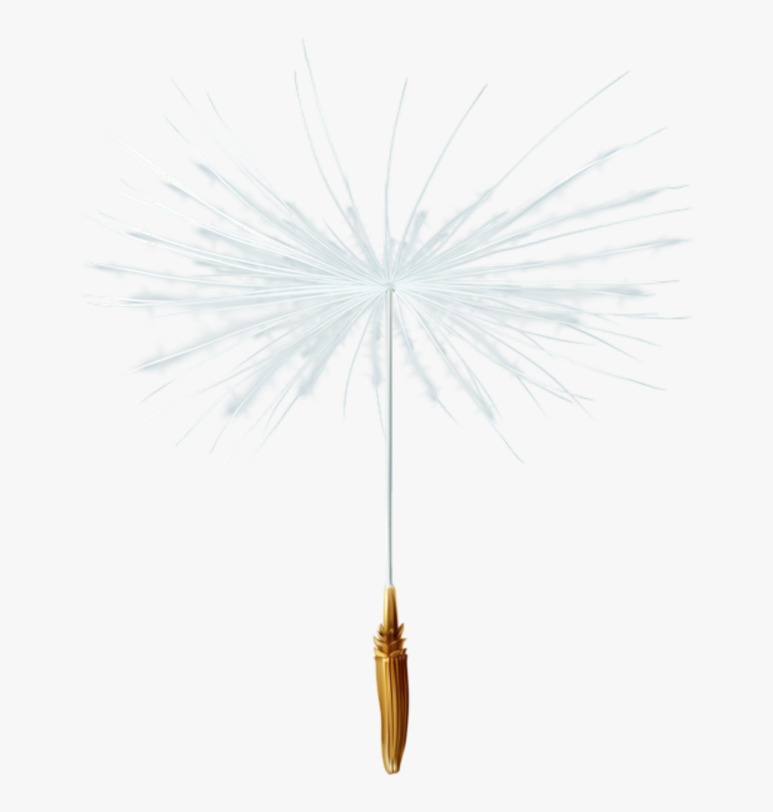 #natalya040 #dandelion #seed #freetoedit - White Pine, HD Png Download