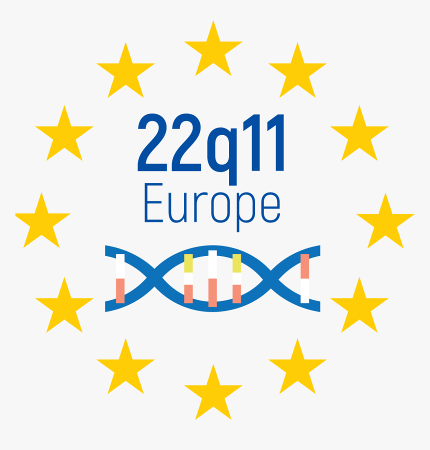 22q11 Europe - Customer Experience Icon Transparent Png, Png Download