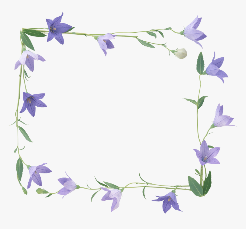 Bellflower Png - Frame Flower Purple Transparent, Png Download