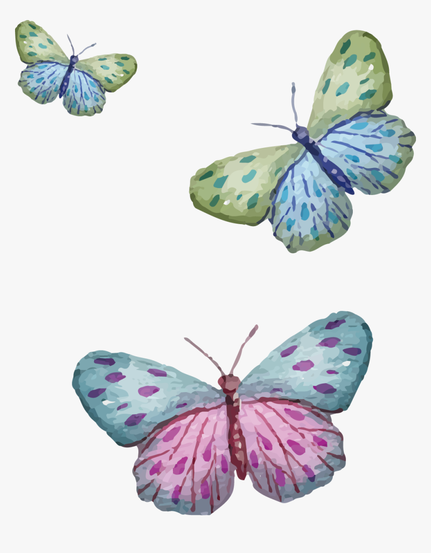 Butterfly, HD Png Download