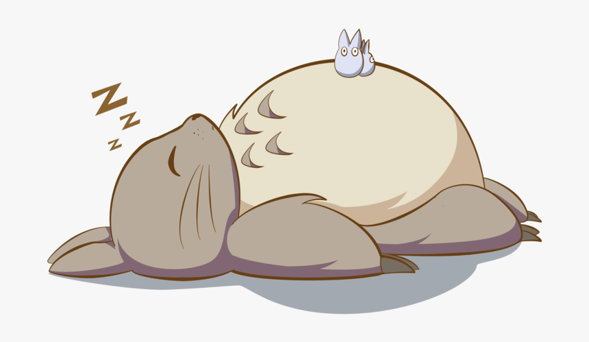 Picture - Totoro Png, Transparent Png