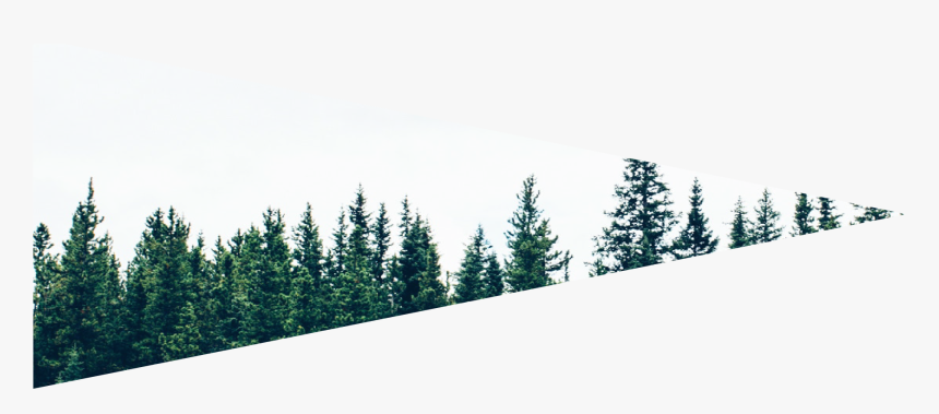 Snow, HD Png Download