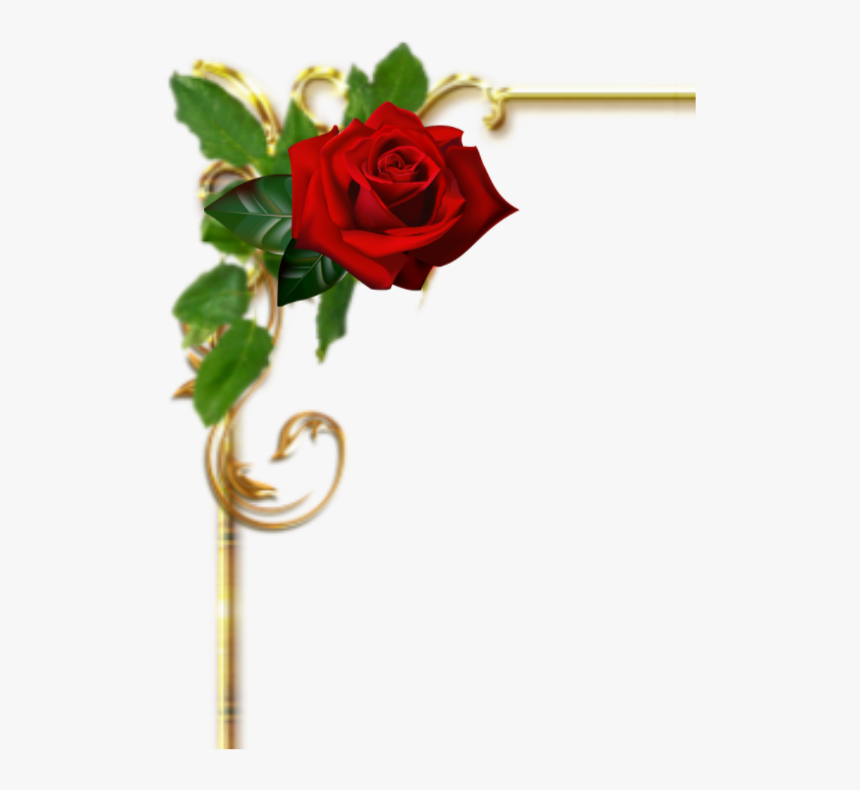 Floribunda, HD Png Download