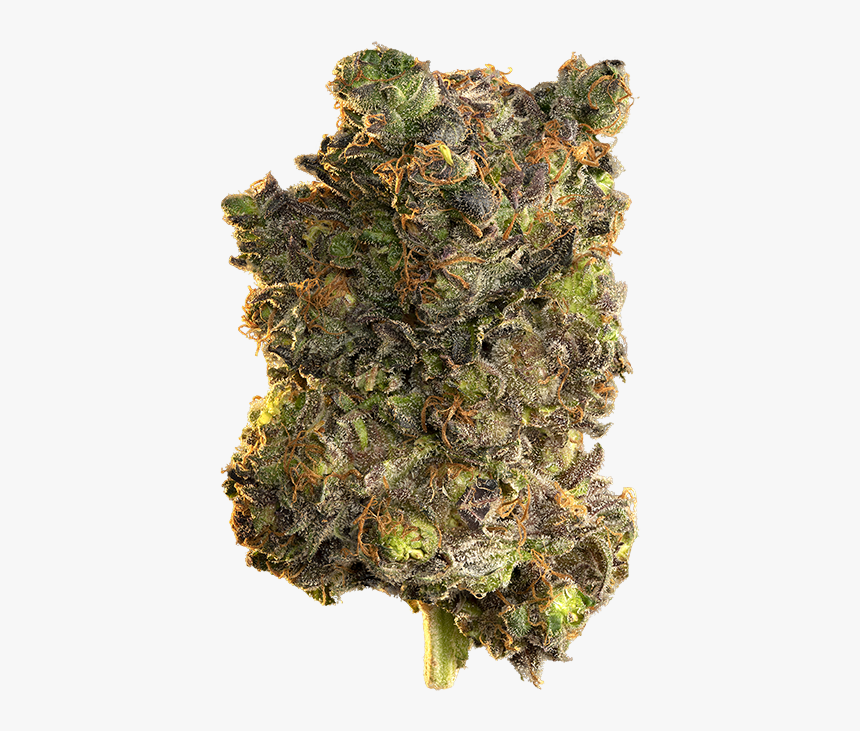 Edison Blue Velvet Cannabis, HD Png Download