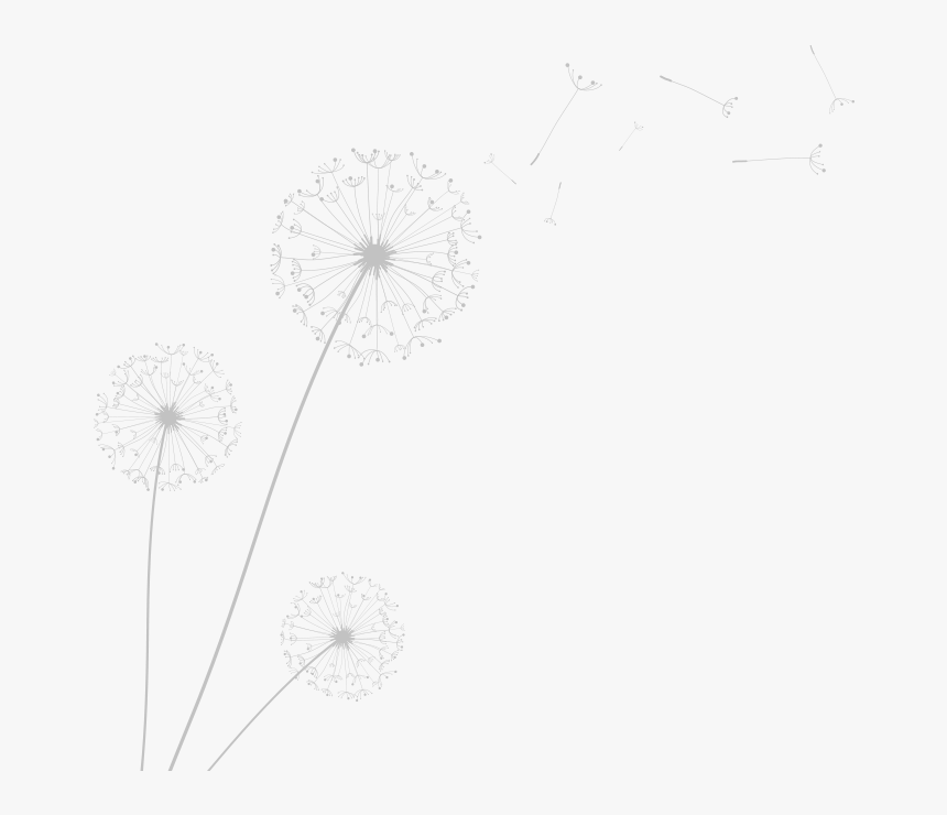 Monochrome, HD Png Download