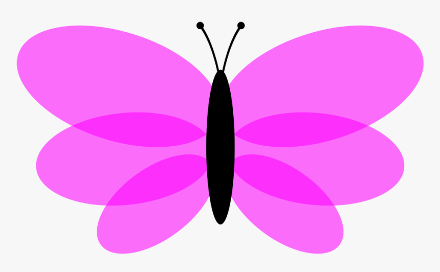 Butterfly, HD Png Download