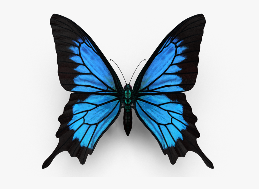 Breast Cancer Shirts V Neck, HD Png Download