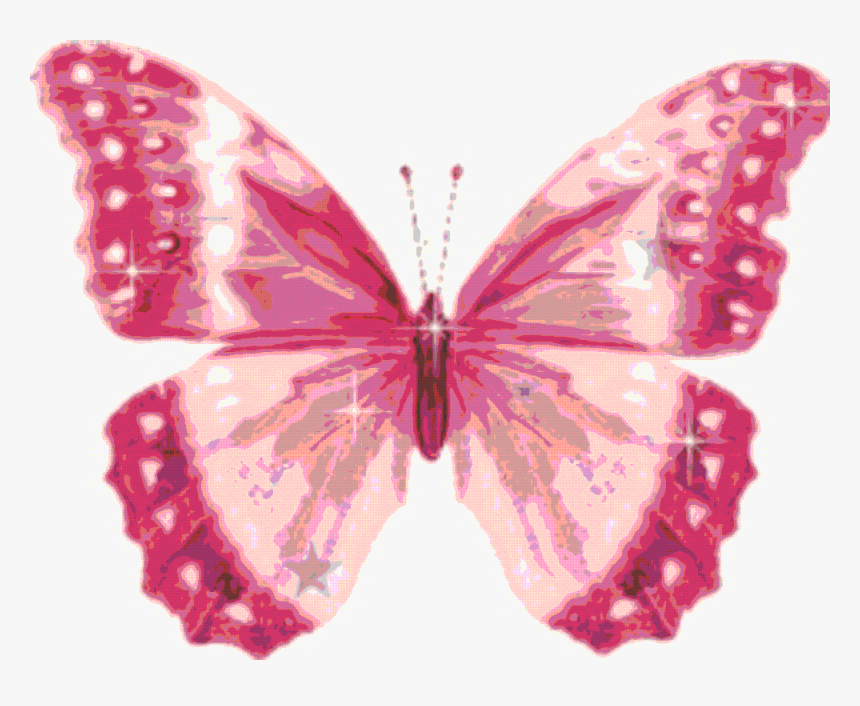 Clipart Pink Butterfly, HD Png Download