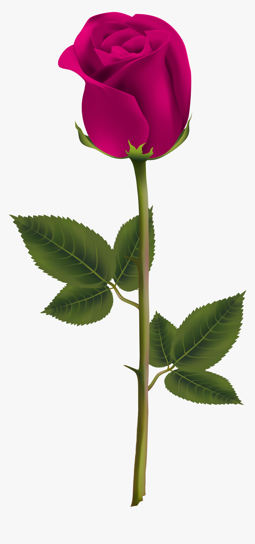 Roses Bouquet Png, Transparent Png