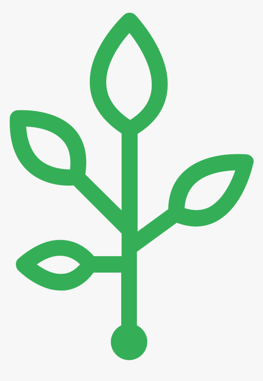 Js First Application - Organization, HD Png Download